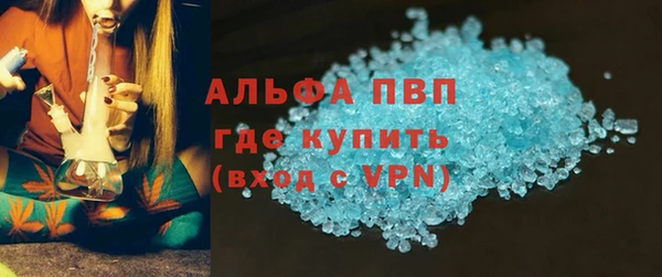 индика Арсеньев