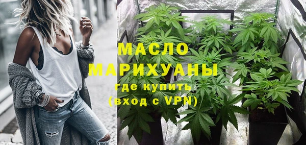 индика Арсеньев