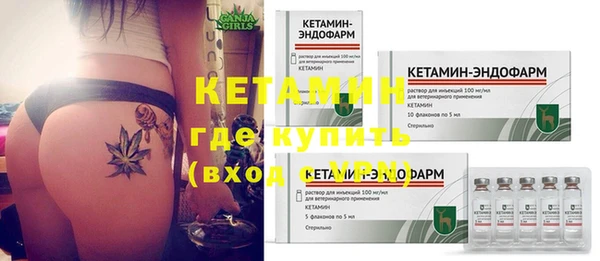 индика Арсеньев