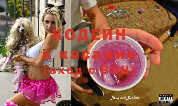 индика Арсеньев