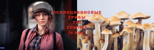 индика Арсеньев