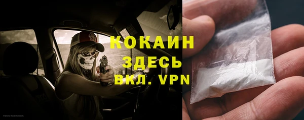 индика Арсеньев