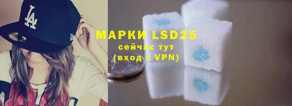 индика Арсеньев