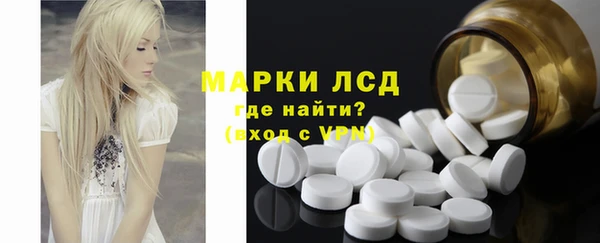 индика Арсеньев