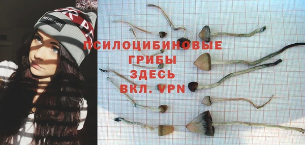 индика Арсеньев
