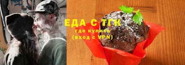 индика Арсеньев
