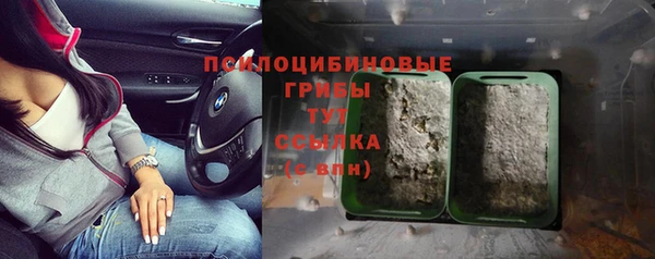 индика Арсеньев
