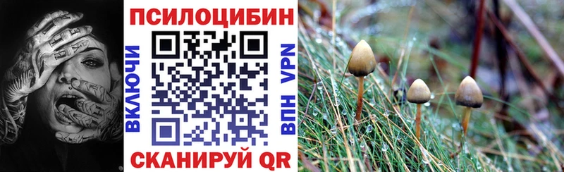Галлюциногенные грибы ЛСД  где купить наркотик  Белебей 