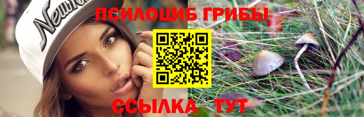 Белебей  Псилоцибиновые грибы мухоморы  Вход с VPN 